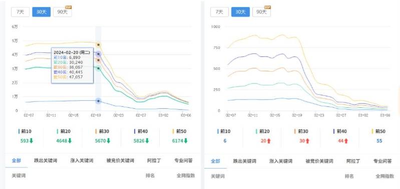 SEO什么是蜘蛛池-SEO蜘蛛池如何培养？  第7张